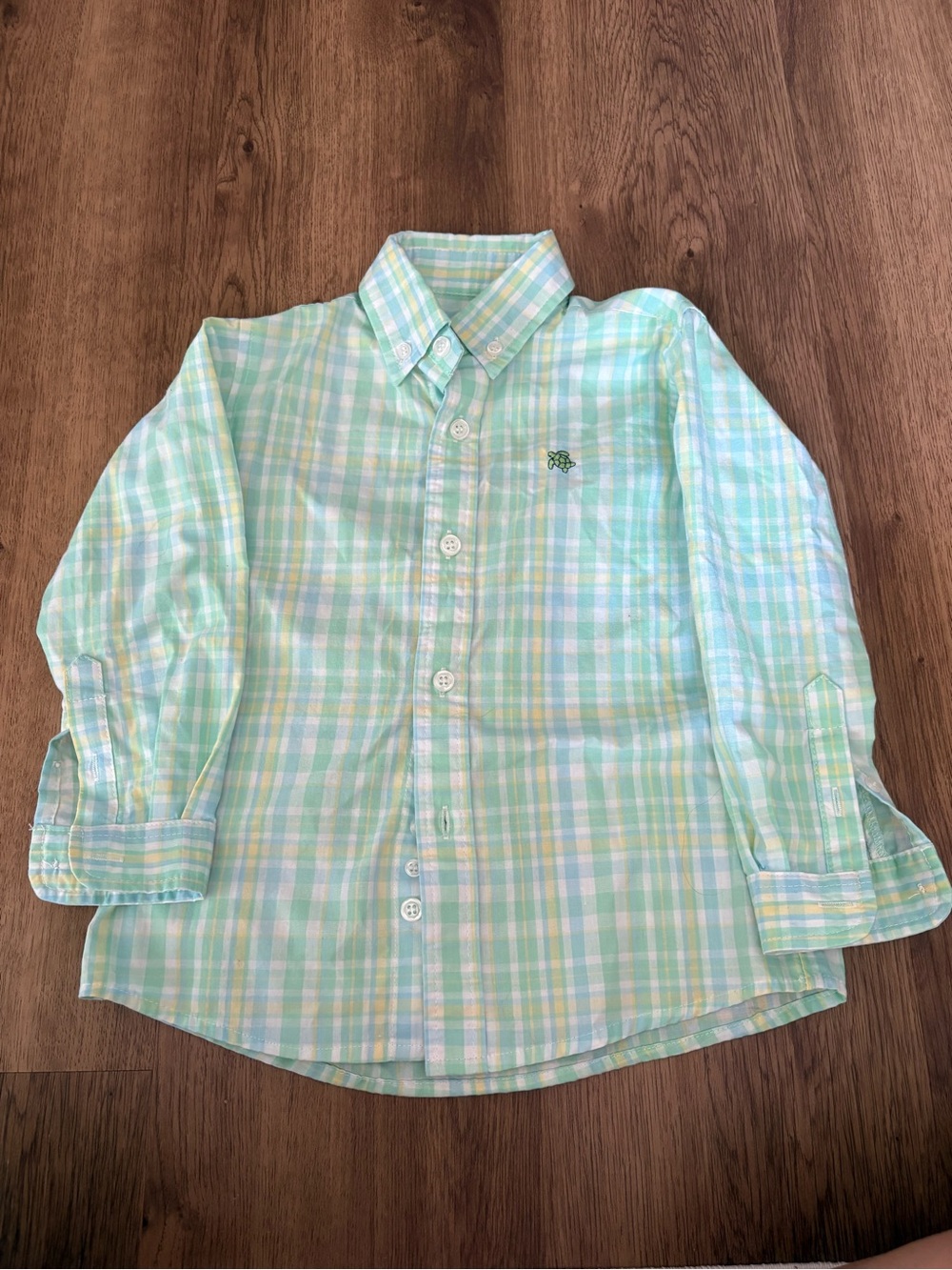 Boys Light Green Plaid Button-Down Shirt - Turtle Logo